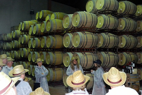BODEGAS BOCOPA - photo 1