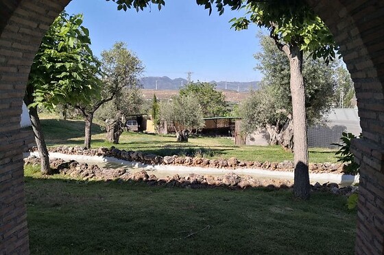 ALQUERÍA DE LOS LENTOS - photo 11