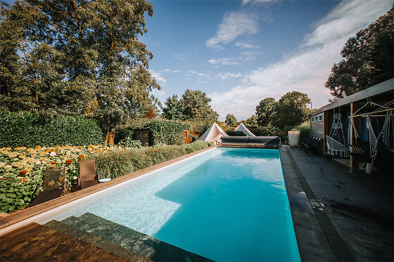 De Witte Merel & Hotel at home - photo 10