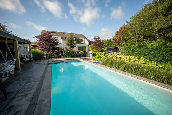 De Witte Merel & Hotel at home - photo 9