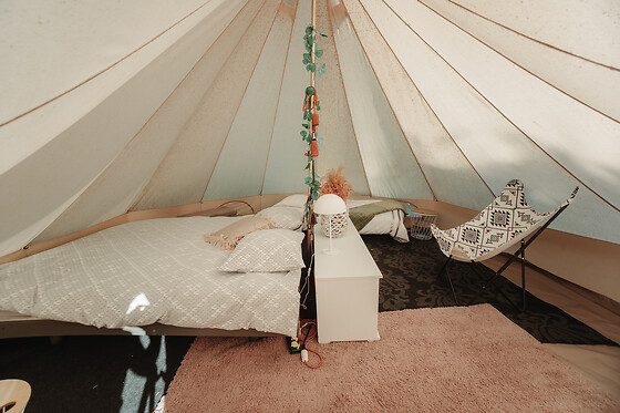 De Witte Merel & Hotel at home - photo 16