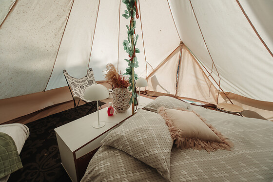 De Witte Merel & Hotel at home - photo 17