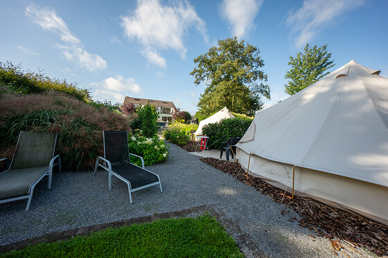 De Witte Merel & Hotel at home - photo 15