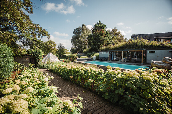 De Witte Merel & Hotel at home - photo 11