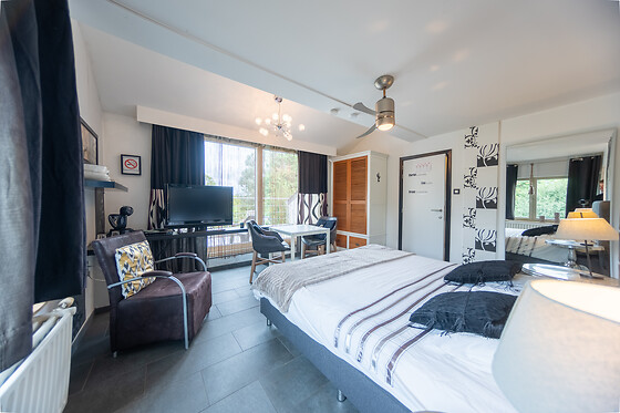 De Witte Merel & Hotel at home - photo 8