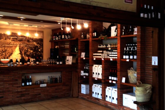 BODEGA PICOS - photo 5