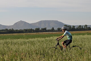 Una ruta "Arrozales en bici hasta el Molí de Pals" para 3 en Nafent Bike Rental en Pals (Girona)