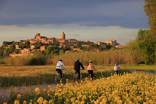 Una ruta "Arrozales en bici hasta el Molí de Pals" para 3 en Nafent Bike Rental en Pals (Girona)
