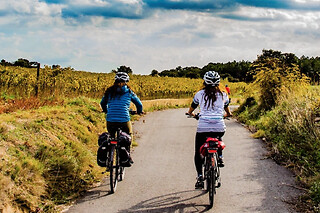 Una ruta "Arrozales en bici hasta el Molí de Pals" para 3 en Nafent Bike Rental en Pals (Girona)