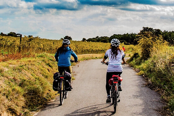 Una ruta 
