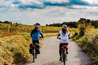 Una ruta "Arrozales en bici hasta el Molí de Pals" para 3 en Nafent Bike Rental en Pals (Girona)