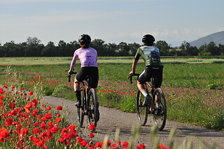 Una ruta "Arrozales en bici hasta el Molí de Pals" para 3 en Nafent Bike Rental en Pals (Girona)