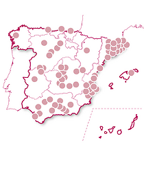 Especial Gracias Profe: Restaurantes Gourmet