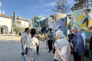 Una visita guiada a la almazara y degustación de AOVEs para 4 en Oleandaluza en Baeza (Jaén)