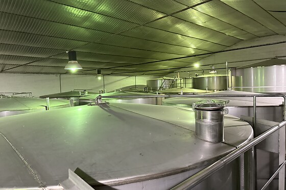 Una visita guiada a la almazara y degustación de AOVEs para 4 en Oleandaluza en Baeza (Jaén)