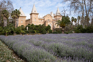 Una entrada al parque + cata de aceite para 2 en Jardín Histórico Parc Samà en Cambrils (Tarragona)