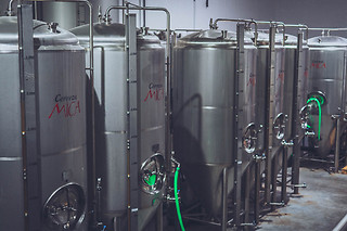 Cerveza Mica en Aranda de Duero (Burgos)