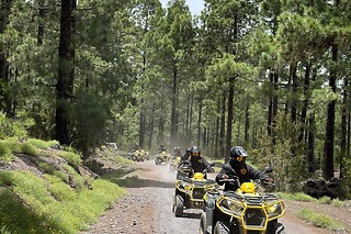 Una experiencia Teide Trip para 1 en Quad Excursions Tenerife en Chío (Santa Cruz de Tenerife)