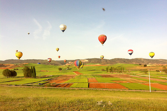 EOLOFLY - photo 3