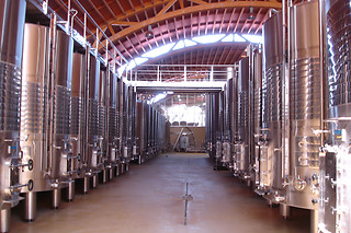 Una visita a la bodega con cata y aperitivo para 2 en Hotel Pago del Vicario en Las Casas (Ciudad Real)