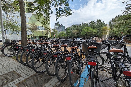 Un tour privado con delivery en bicicleta classic para 2 en Delivery Bikes BCN en Barcelona