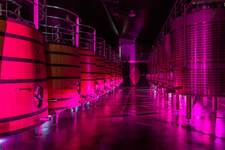 Bodega Regina Viarum "Viticultura Heróica" en Sober (Lugo)