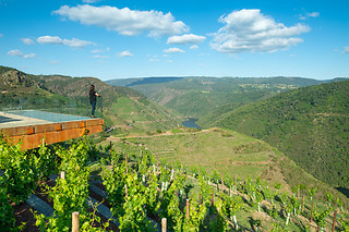 Bodega Regina Viarum "Viticultura Heróica" en Sober (Lugo)