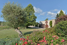BODEGAS REGINA VIARUM