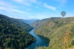 BODEGAS REGINA VIARUM