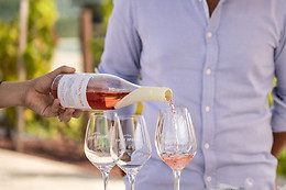 BODEGAS REGINA VIARUM