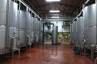 Bodegas y Viñedos Pedro García en Colmenar de Oreja (Madrid)