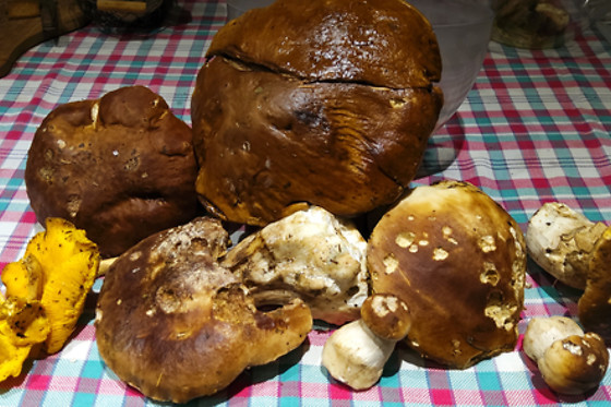 La Maison sous les etoiles - photo 13