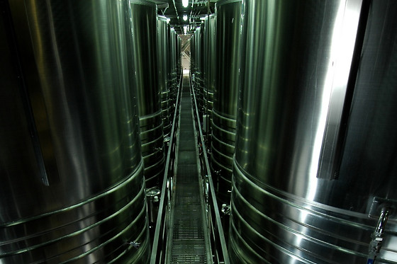 BODEGAS LAUS - photo 4