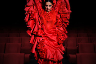 2 entradas de adulto para un espectáculo de flamenco en Teatro Flamenco Madrid, en Madrid
