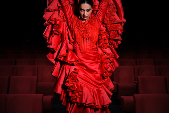 2 entradas de adulto para un espectáculo de flamenco en Teatro Flamenco Madrid, en Madrid