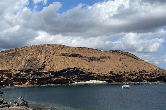 Crucero de avistamiento de ballenas en catamarán en Los Cristianos