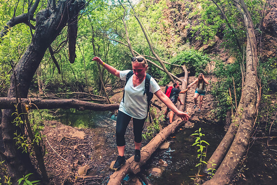 Excursión de un día por la selva tropical de Gran Canaria