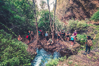Excursión de un día por la selva tropical de Gran Canaria