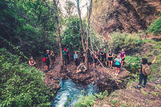 Excursión de un día por la selva tropical de Gran Canaria