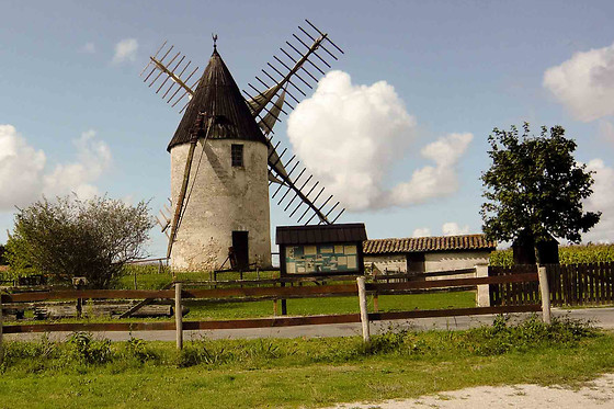 Aliénor - photo 15