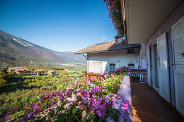 Albergo Alt Spaur