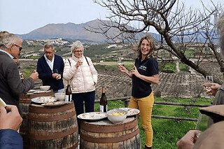 Experiencia vinícola junto al mar en Manilva, Marbella