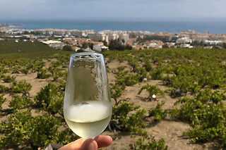 Experiencia vinícola junto al mar en Manilva, Marbella
