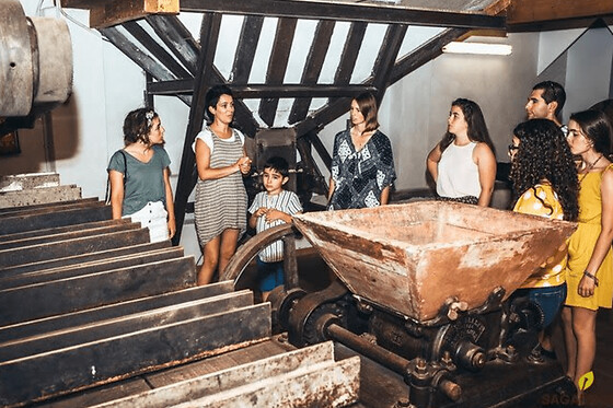 Visita guiada «Sidrería vasca» + comida desde San Sebastián