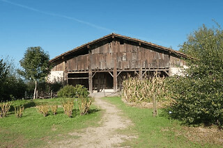 Visita a una granja vasca, una sidrería y comida desde San Sebastián