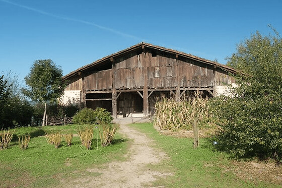Visita a una granja vasca, una sidrería y comida desde San Sebastián