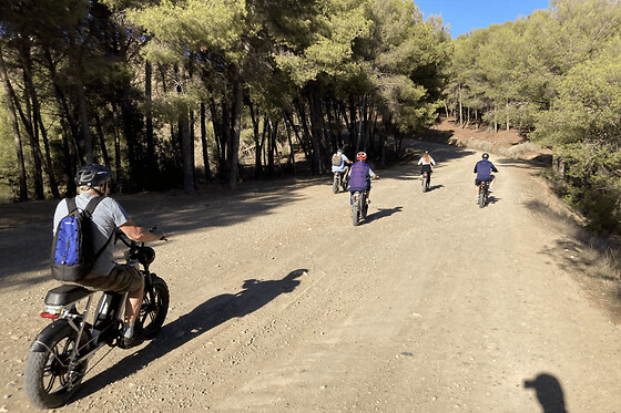 Alquiler de una bicicleta E-FAT durante 4 horas: senderos y vistas de Málaga