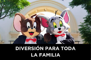 Parque Warner Familia - 1 día / 1 parque - 2 adultos y 2 niños