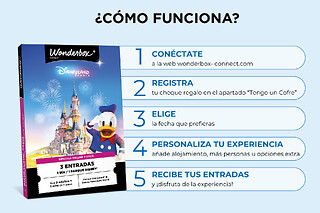 Disneyland París en Familia 1 día / 1 parque