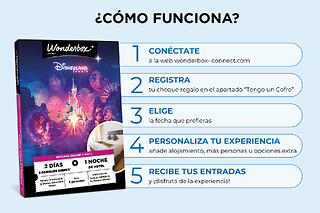 Disneyland Paris Estancia - 2 días /  2 parques - 1 noche